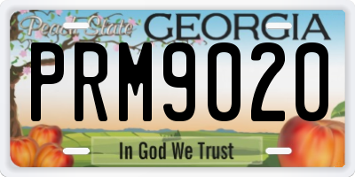 GA license plate PRM9020