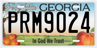GA license plate PRM9024
