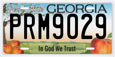 GA license plate PRM9029