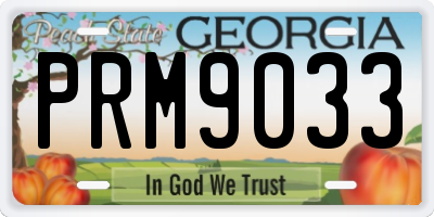 GA license plate PRM9033