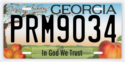 GA license plate PRM9034