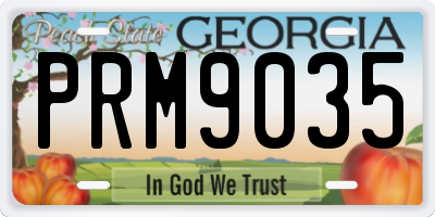 GA license plate PRM9035