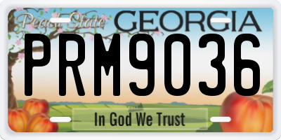 GA license plate PRM9036
