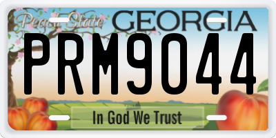 GA license plate PRM9044