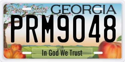 GA license plate PRM9048