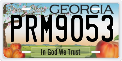GA license plate PRM9053