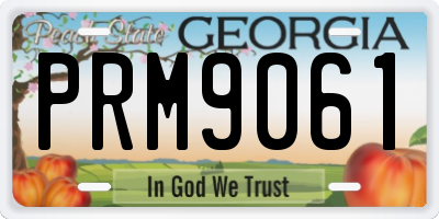 GA license plate PRM9061
