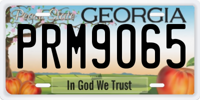 GA license plate PRM9065