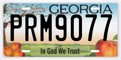 GA license plate PRM9077