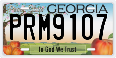 GA license plate PRM9107