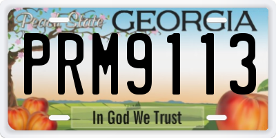 GA license plate PRM9113