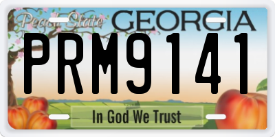 GA license plate PRM9141