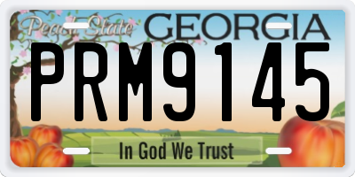 GA license plate PRM9145