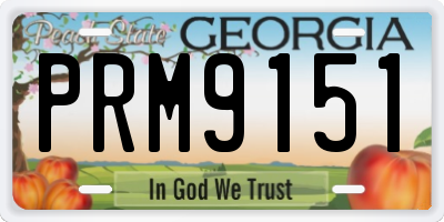 GA license plate PRM9151