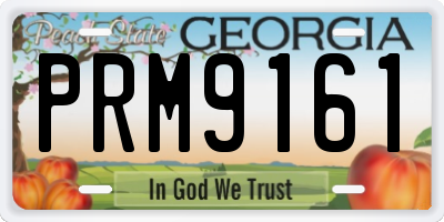 GA license plate PRM9161