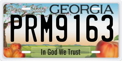 GA license plate PRM9163