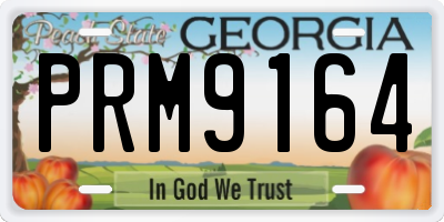 GA license plate PRM9164
