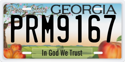 GA license plate PRM9167
