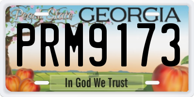 GA license plate PRM9173