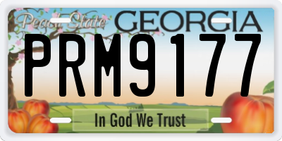 GA license plate PRM9177