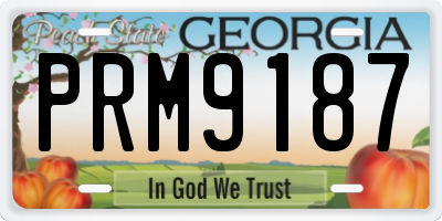 GA license plate PRM9187