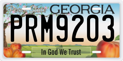 GA license plate PRM9203