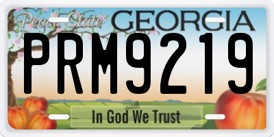 GA license plate PRM9219
