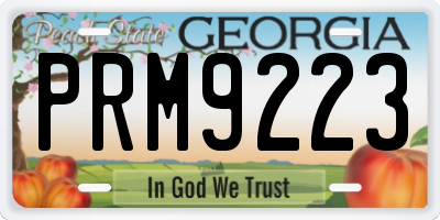 GA license plate PRM9223