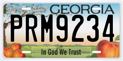 GA license plate PRM9234