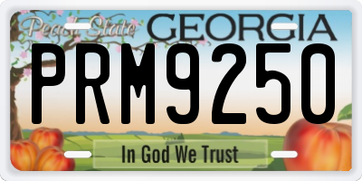 GA license plate PRM9250