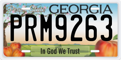 GA license plate PRM9263
