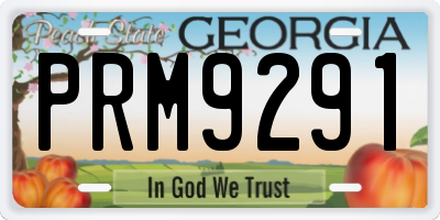 GA license plate PRM9291