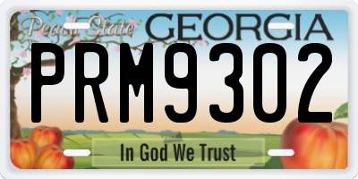 GA license plate PRM9302