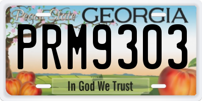 GA license plate PRM9303