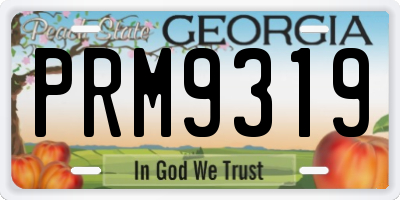 GA license plate PRM9319