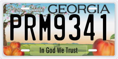 GA license plate PRM9341