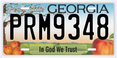 GA license plate PRM9348