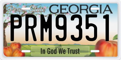 GA license plate PRM9351