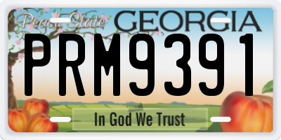 GA license plate PRM9391