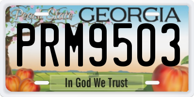 GA license plate PRM9503