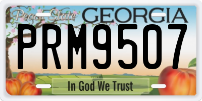GA license plate PRM9507