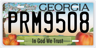 GA license plate PRM9508