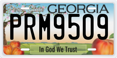 GA license plate PRM9509