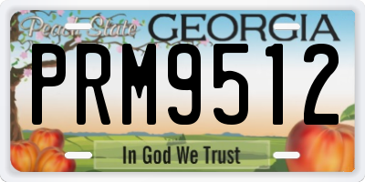 GA license plate PRM9512