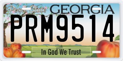 GA license plate PRM9514