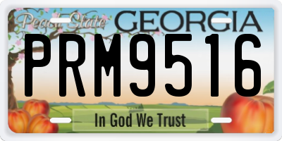 GA license plate PRM9516