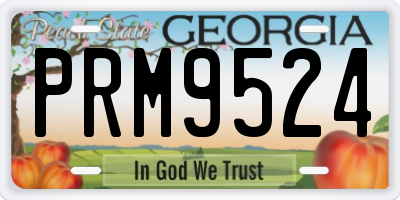 GA license plate PRM9524