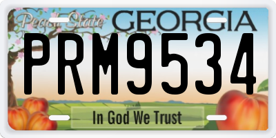 GA license plate PRM9534