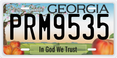 GA license plate PRM9535