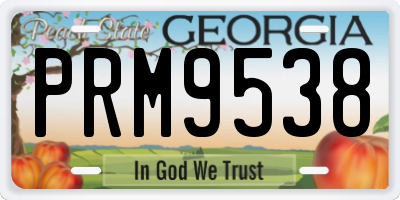 GA license plate PRM9538